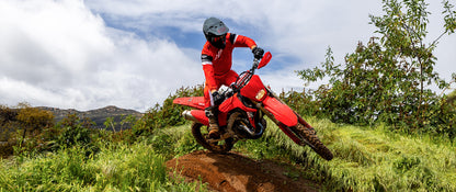 HONDA CRF450X