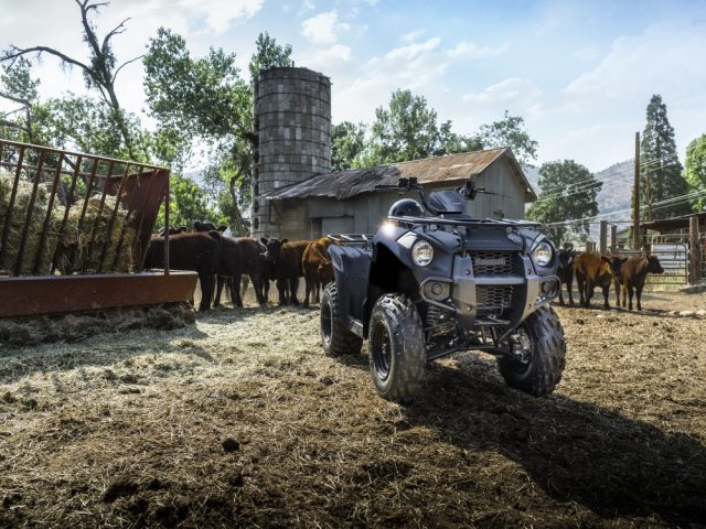 Brute Force 300 – 2025